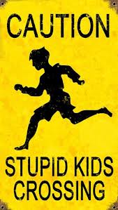 Stupid kids