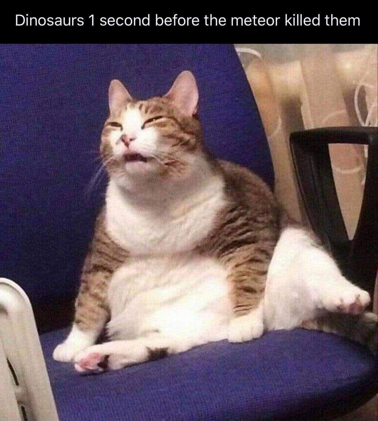 Bro what's that