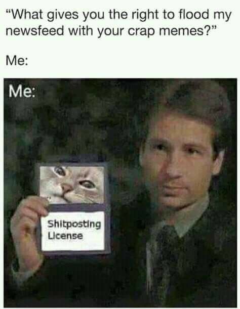 You will respect my authority