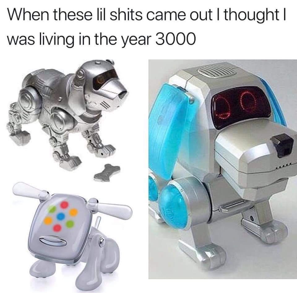Poo-Chi,the robot dog