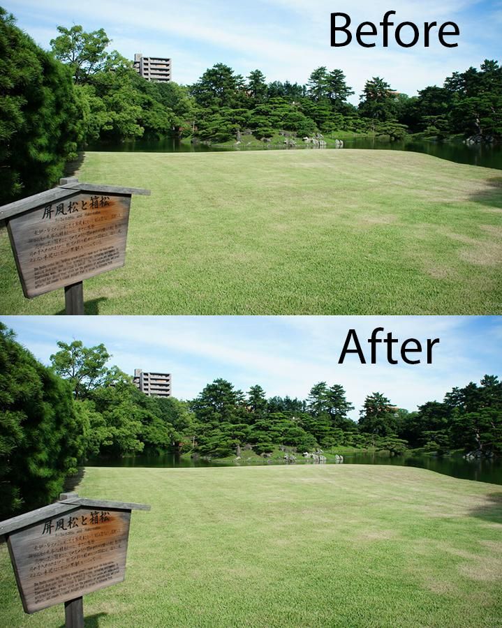 Garbage clean up in Japanese Park; Before and After!!!