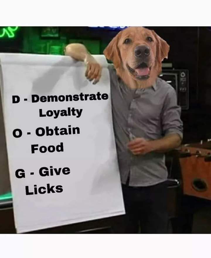 Interviewer : So how do you describe yourself ? Me :