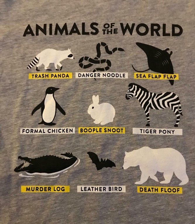 ANIMALS OF THE WORLD.