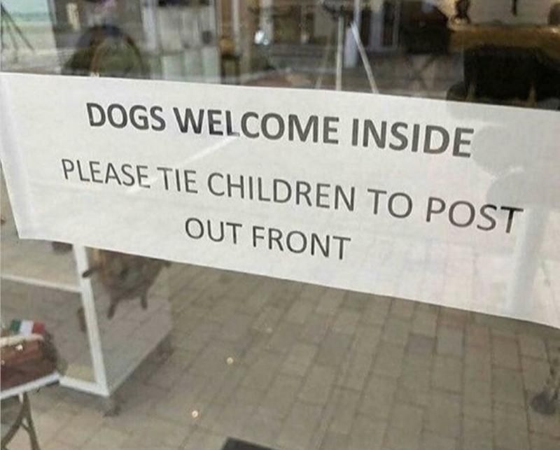 Dogs are always welcome!