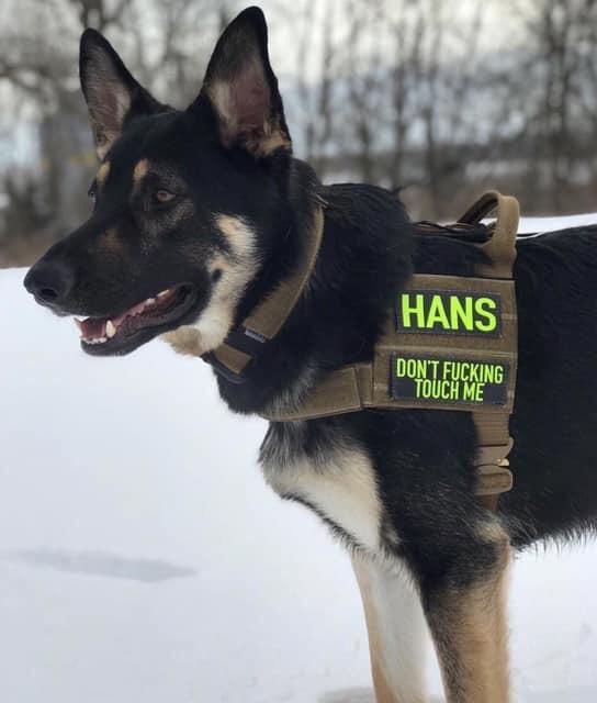 Same, Hans.