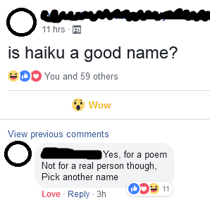 Is Haiku a good name?
