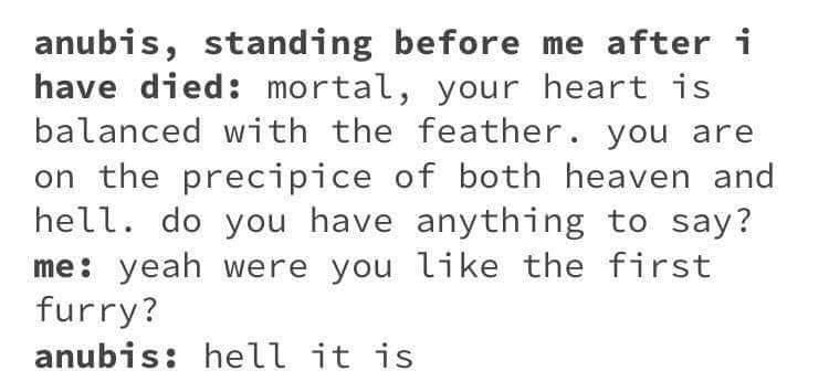 Anubis is savage