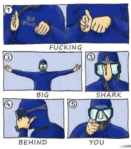 In case you wanna go diving