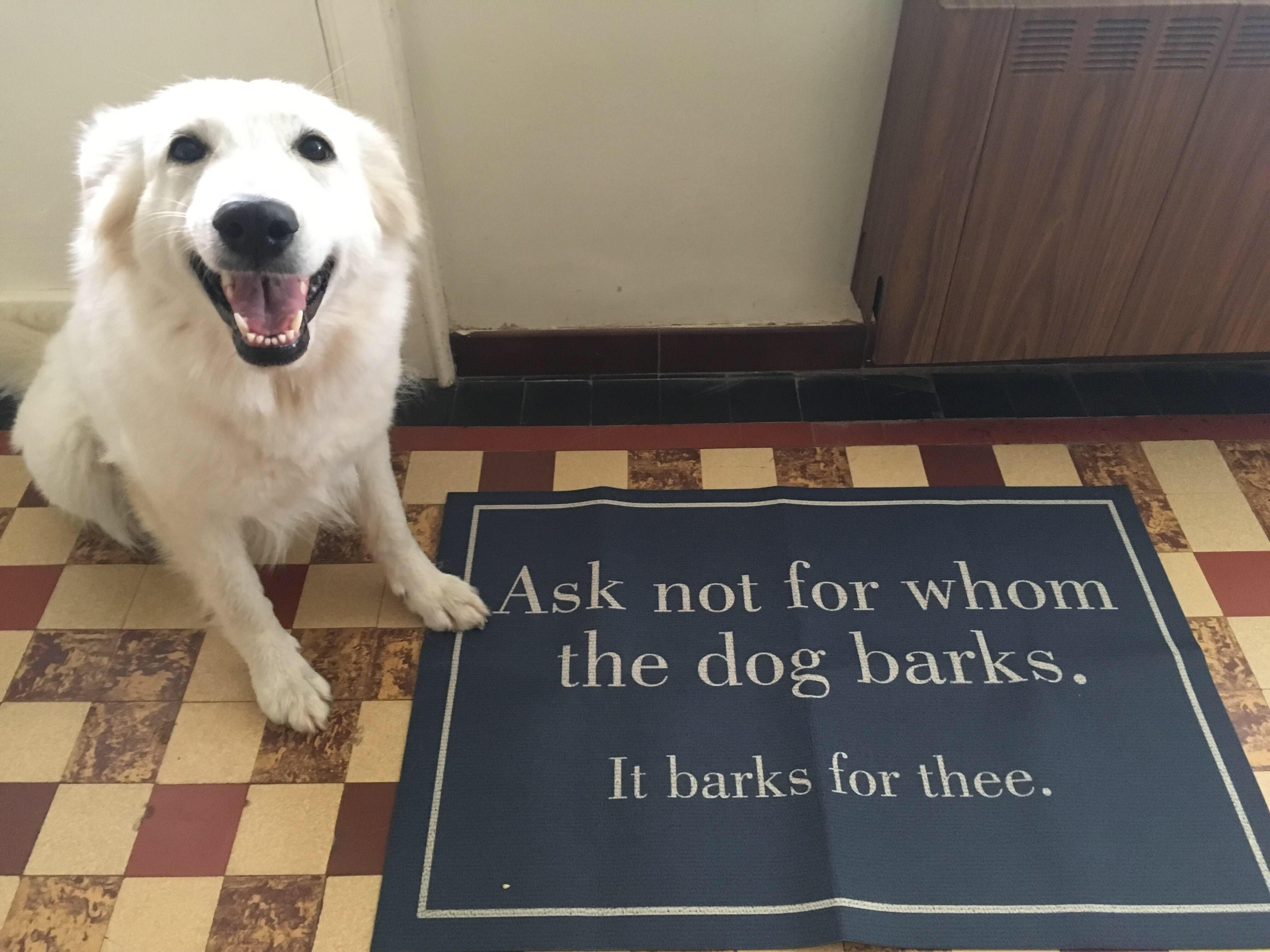 I bark, therefore I am.