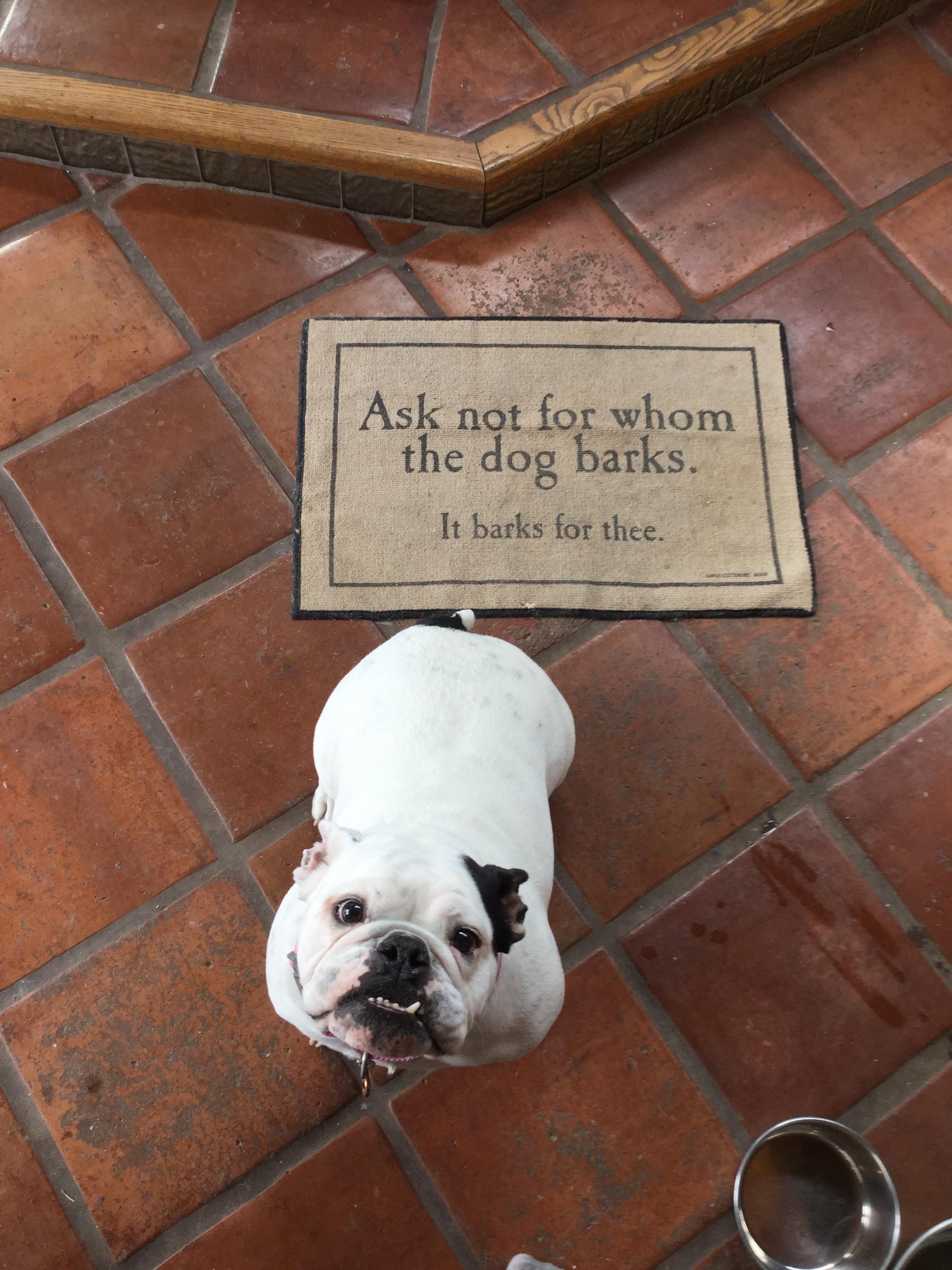 I bought that same mat for my mom for xmas. I raise you one English bulldog!
