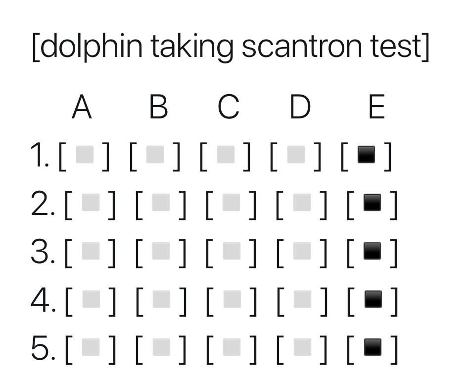 Dolphin taking scantron test
