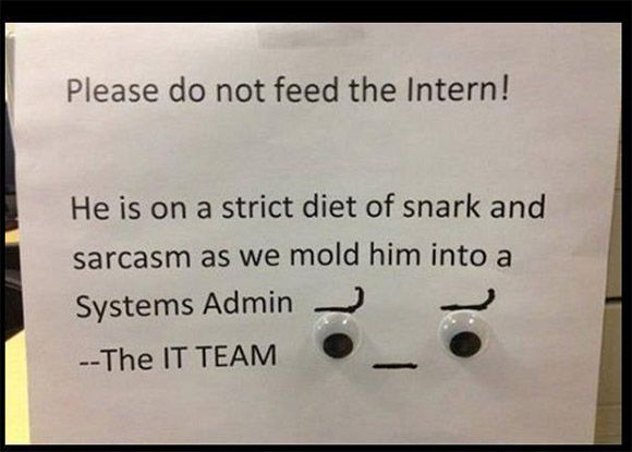 do not feed the intern