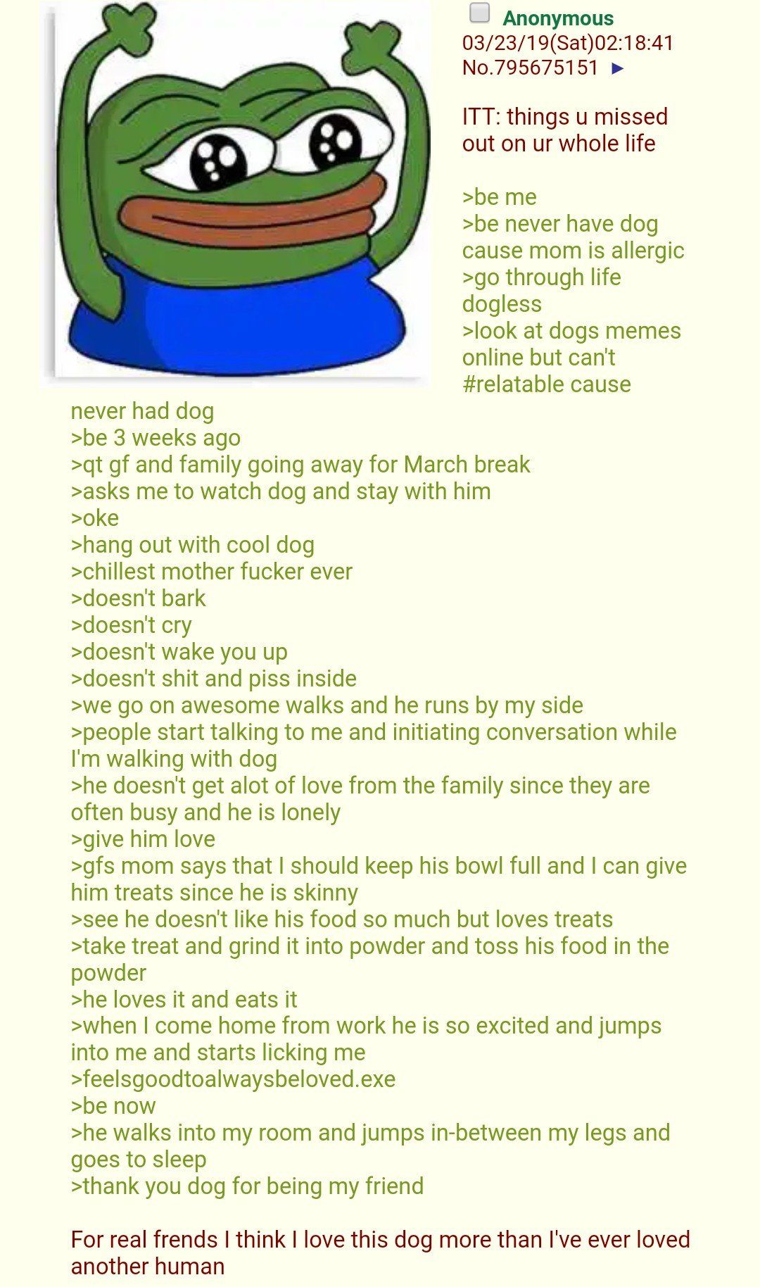 Anon gets a dog