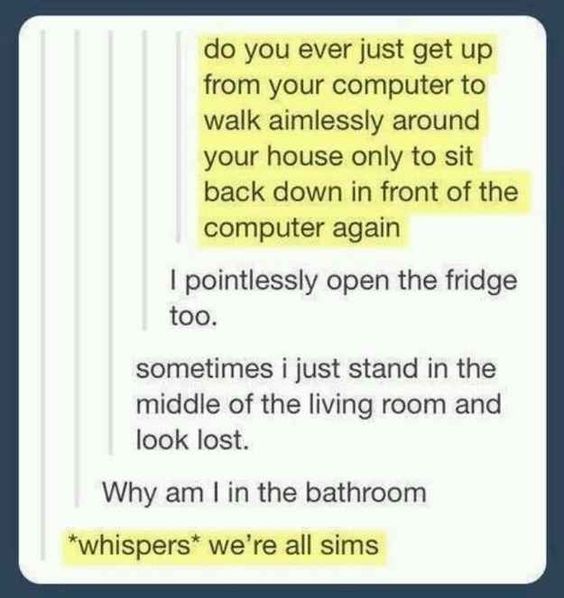 We're all sims...