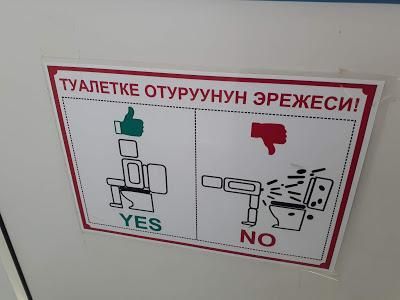 This sign in the toilet explaining how not to use it