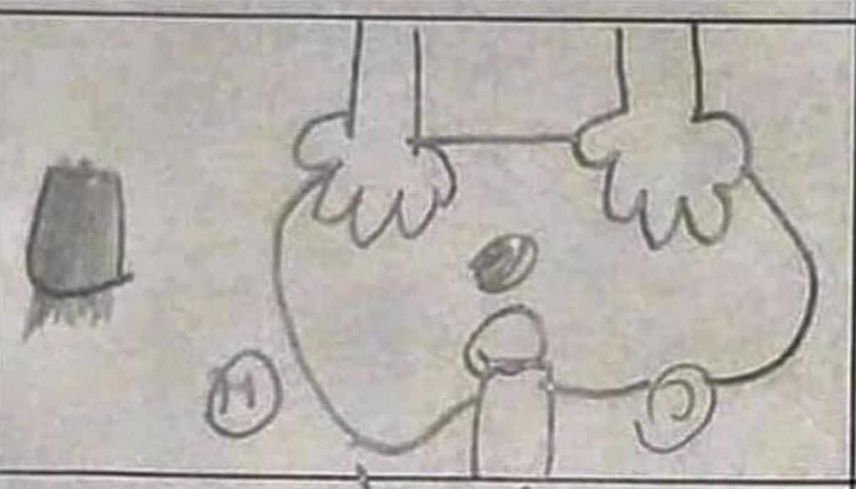Раковина нарисовать для детей