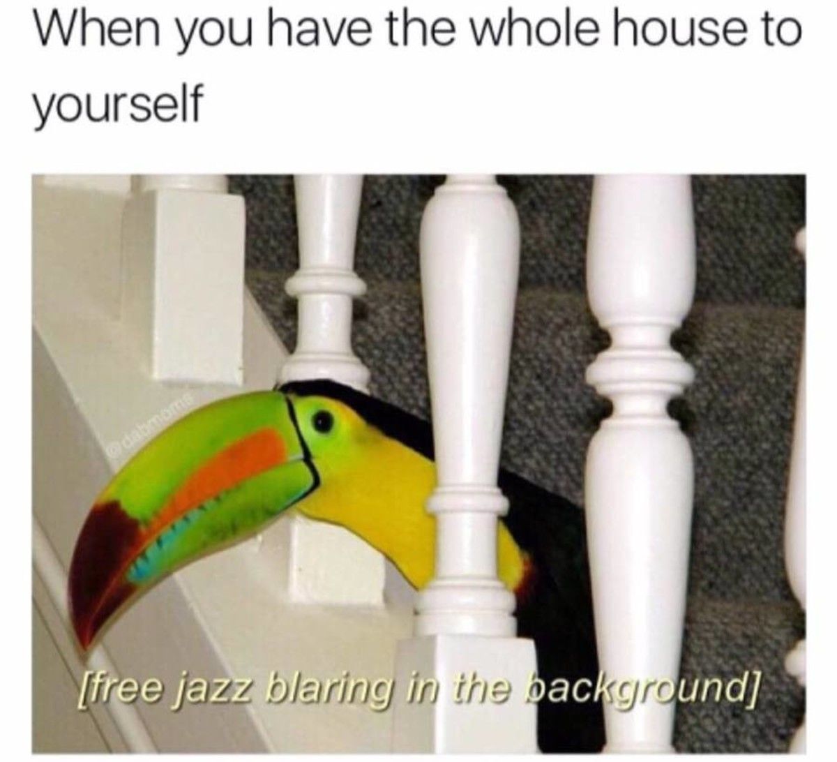 Society would fall apart if it were to see me home alone