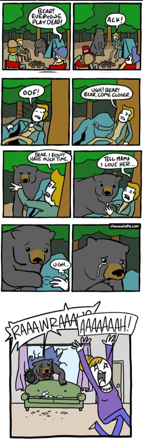 Poor bear was just trying to help