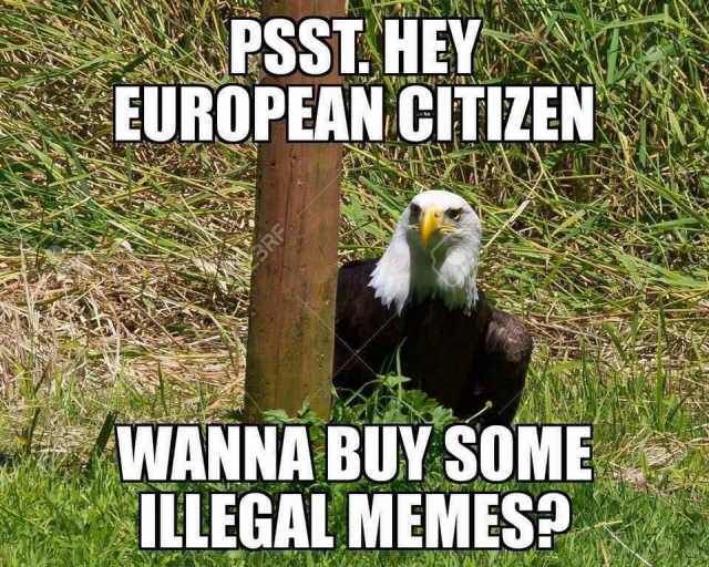 "illegal"