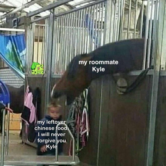 kyle why
