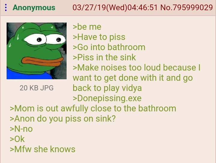 Anon Pisses In The Sink