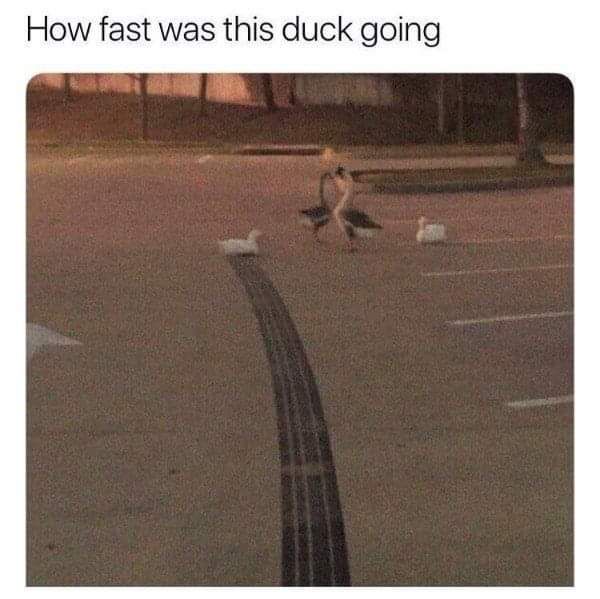 Duck drift