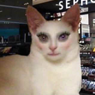 14 year old girls trying makeup apps