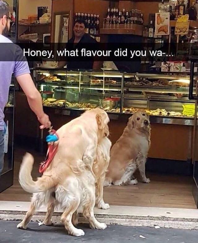 Honey...?