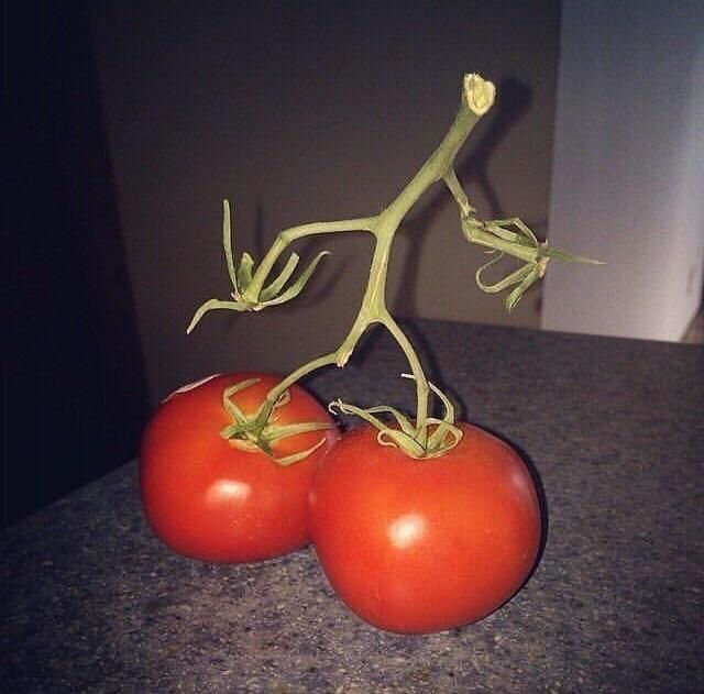 Everybody gangsta, till the tomatoes start walkin