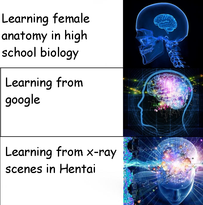 hhmm yes shark brain