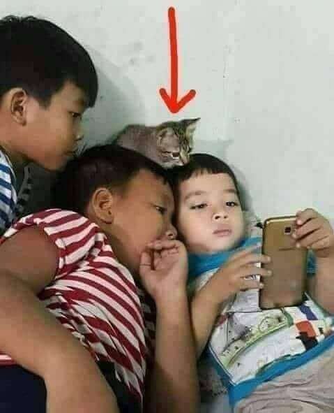 When everyone is busy with smartphone...