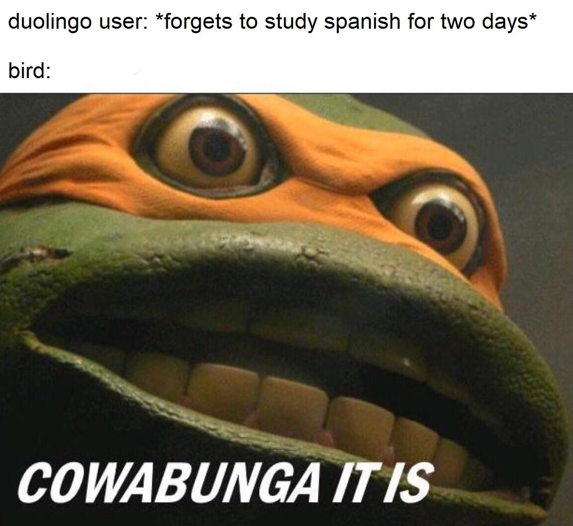 Duolingo