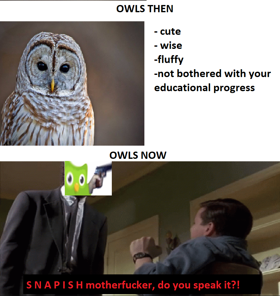 S N A P I S H H