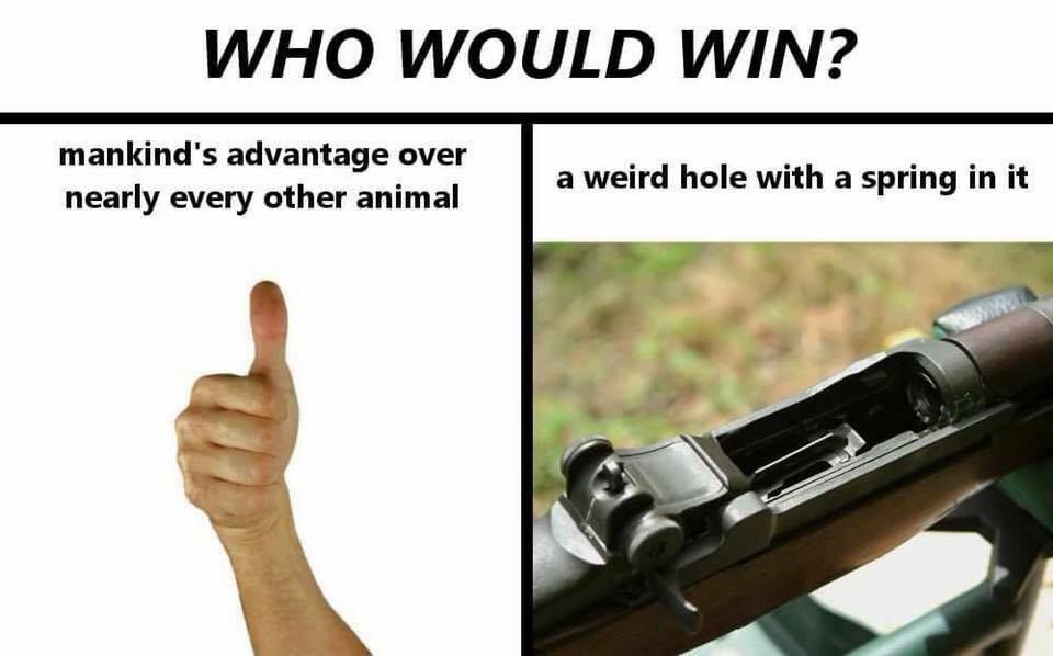 Garand thumb love