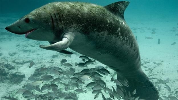 I photoshopped a shark and manatee together and he is my son, my legacy, my prodigy: the Manatark