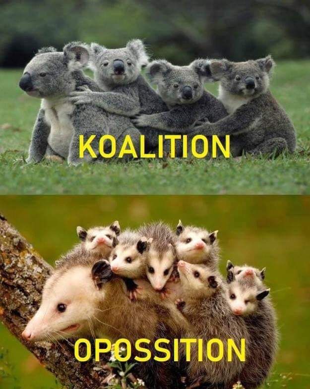 Which side are you? I prefer Koalition