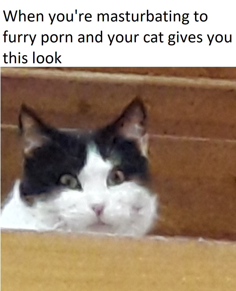 i dont watch that shit though