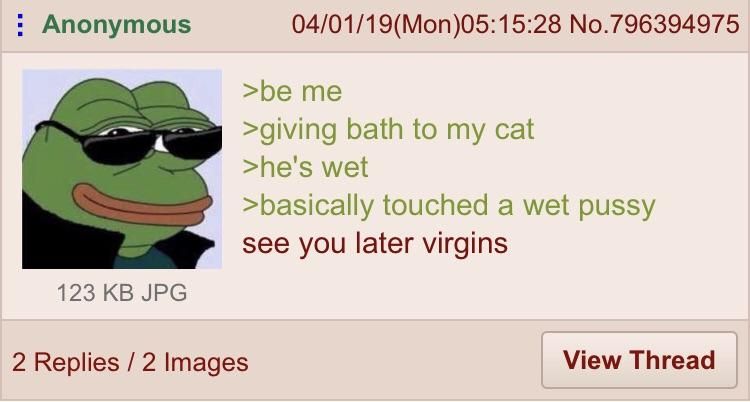 Anon and his cat
