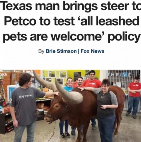 Fully automatic assult cattle