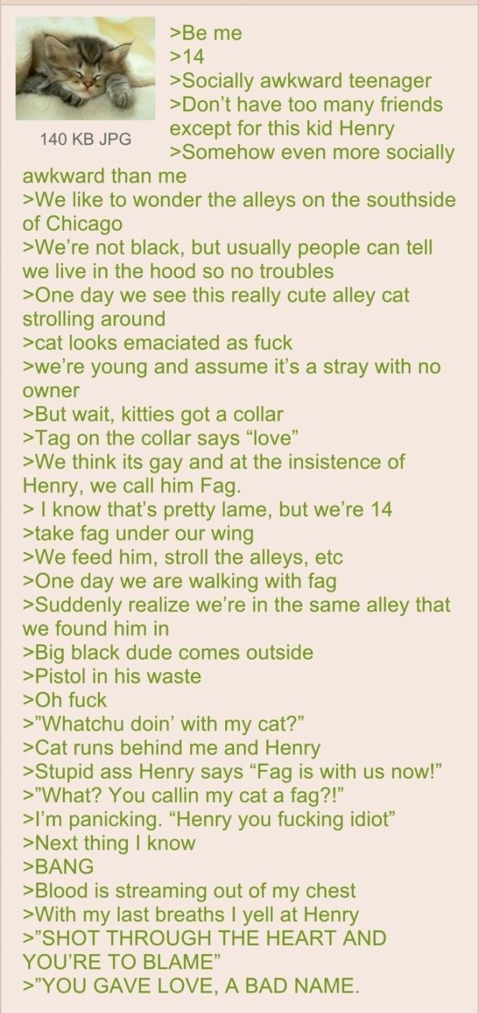 Anon and his cat