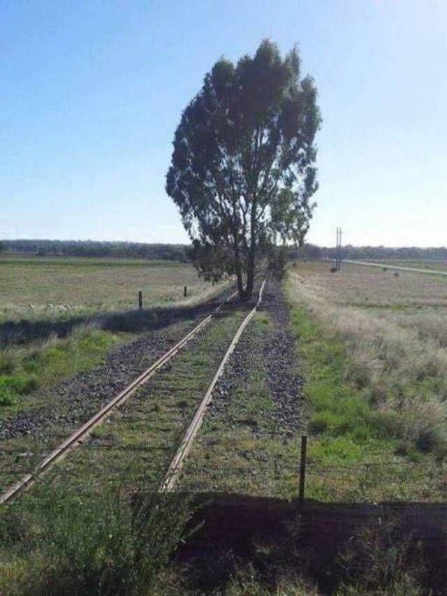 How to tell when the train isn’t coming!