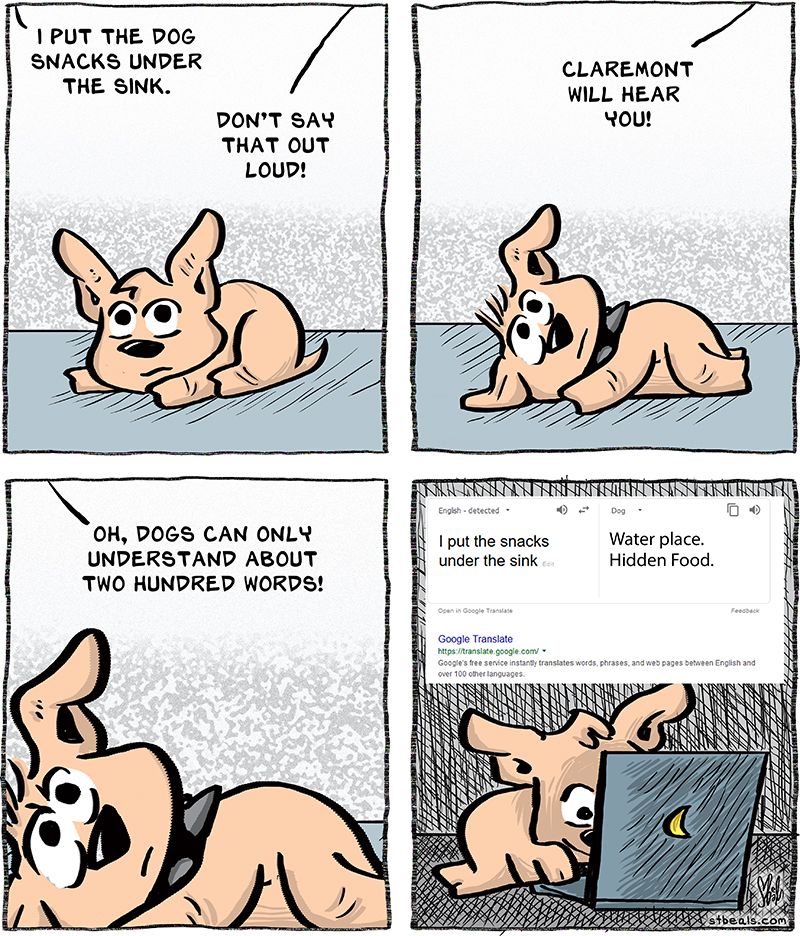 Dog Detector