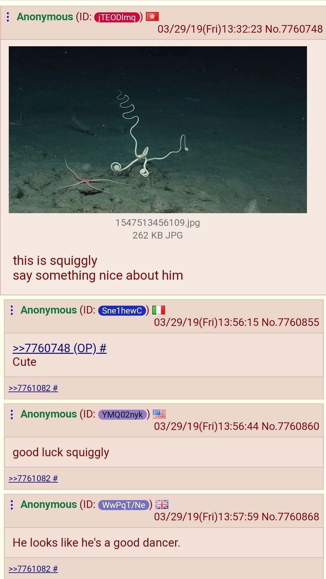 Anon thinks that everyone on 4chan is a terrorist