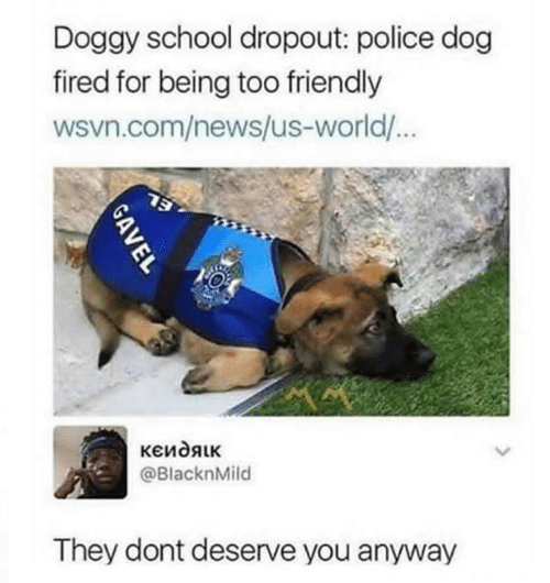 Doggy school dropout