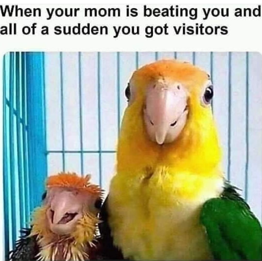 Keep ya damn beak shut kid!