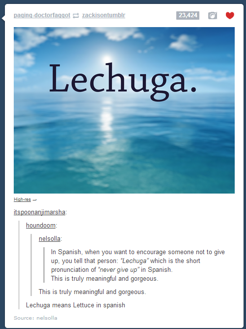 Never give up, Lechuga.