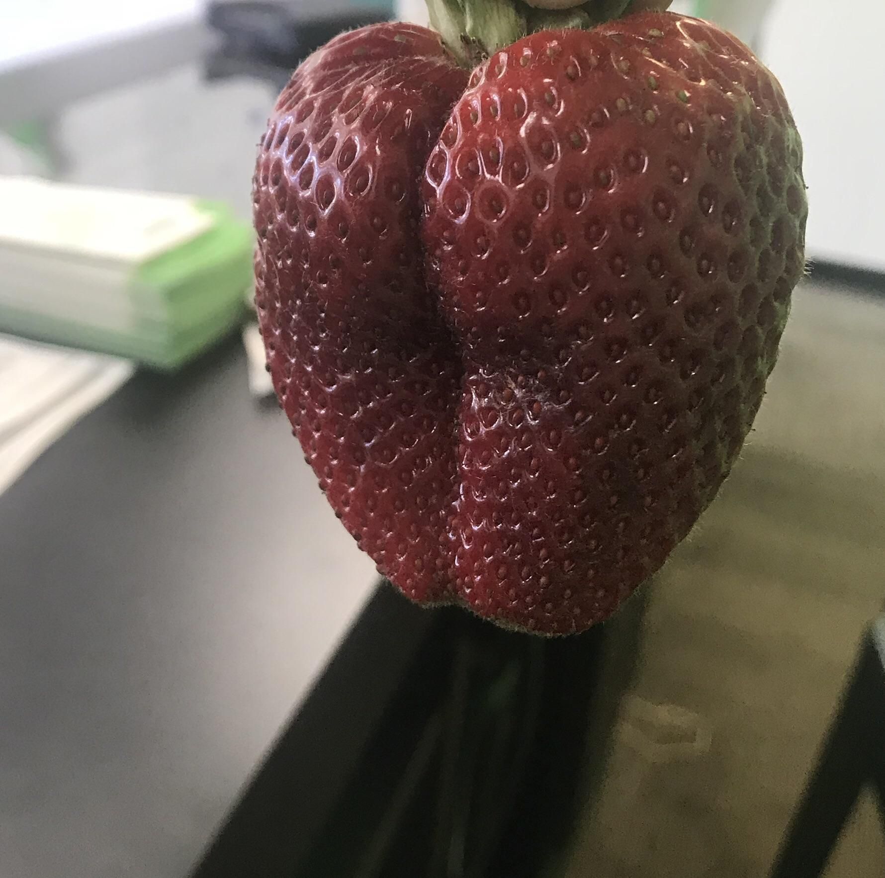 All of a sudden, I wanna eat strawberries again.
