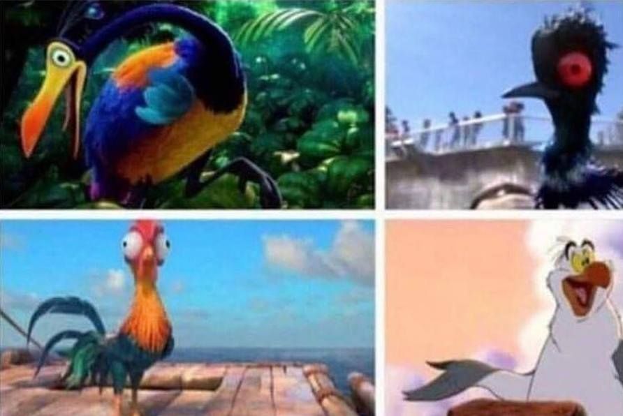 What's Disney's obsession with retarded birds?