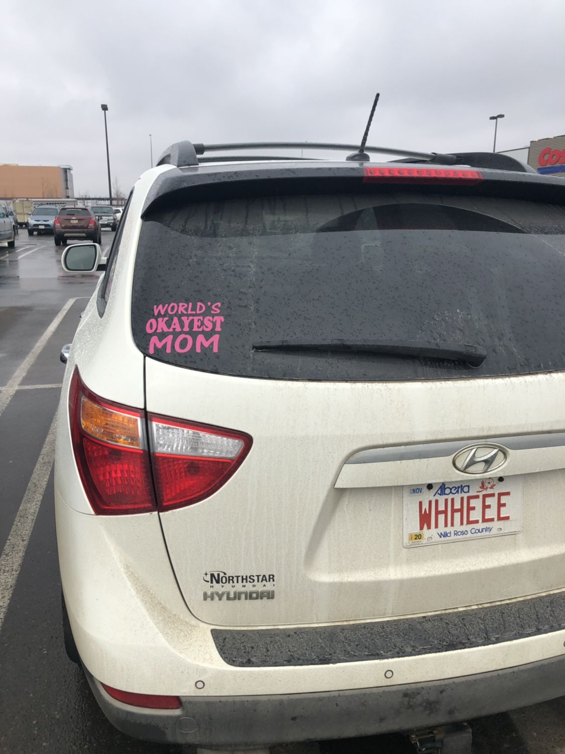 I spotted this beauty of a window sticker today