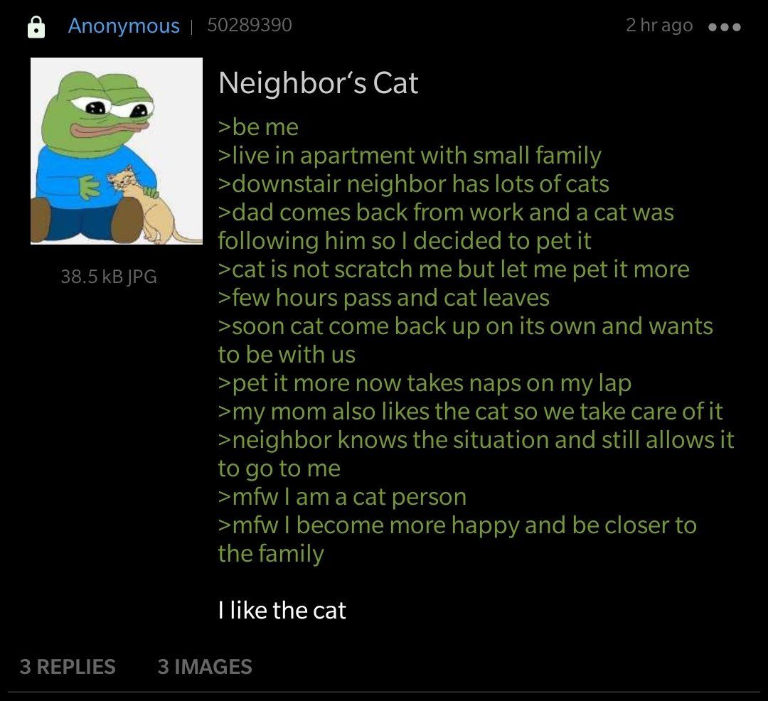 Anon and the cat